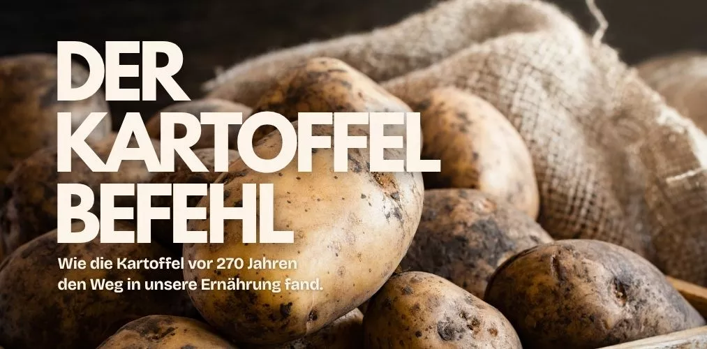 Ratgeber Titelbild
