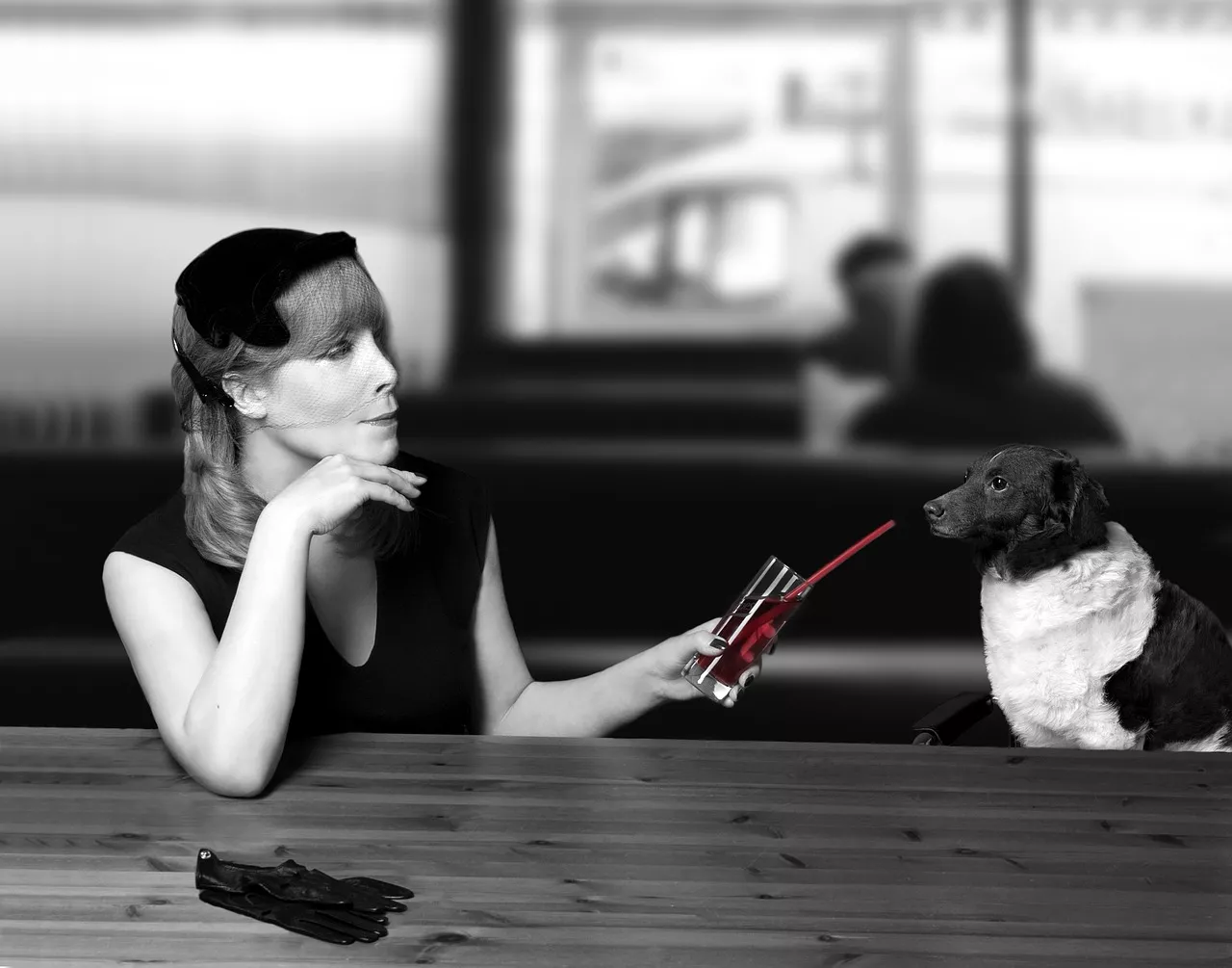dog-889350_1280e96b3
